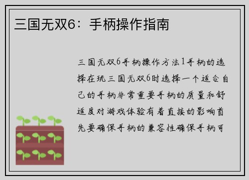 三国无双6：手柄操作指南